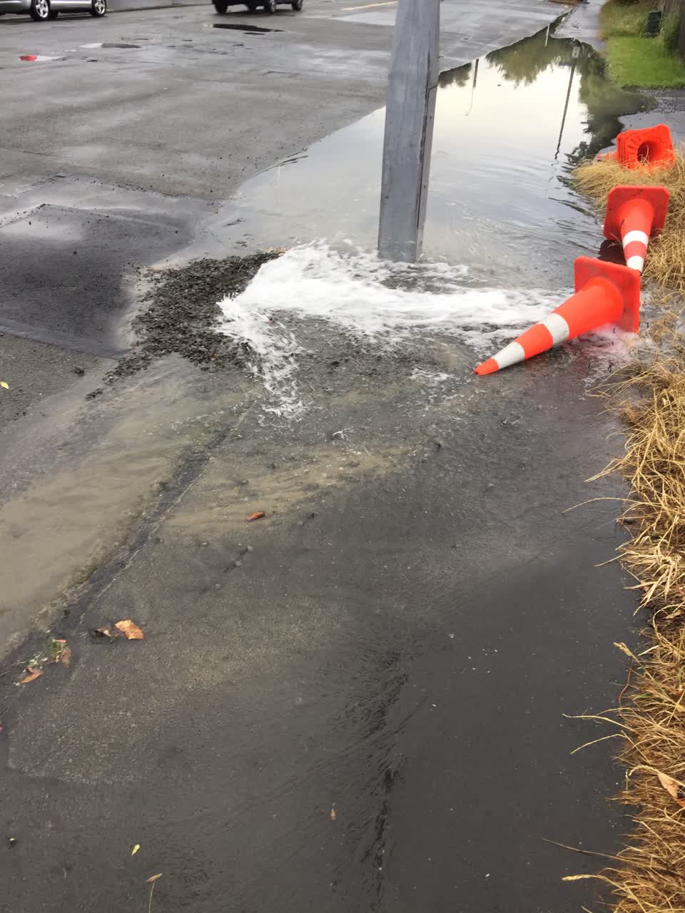 The photograph attached to this water leak report