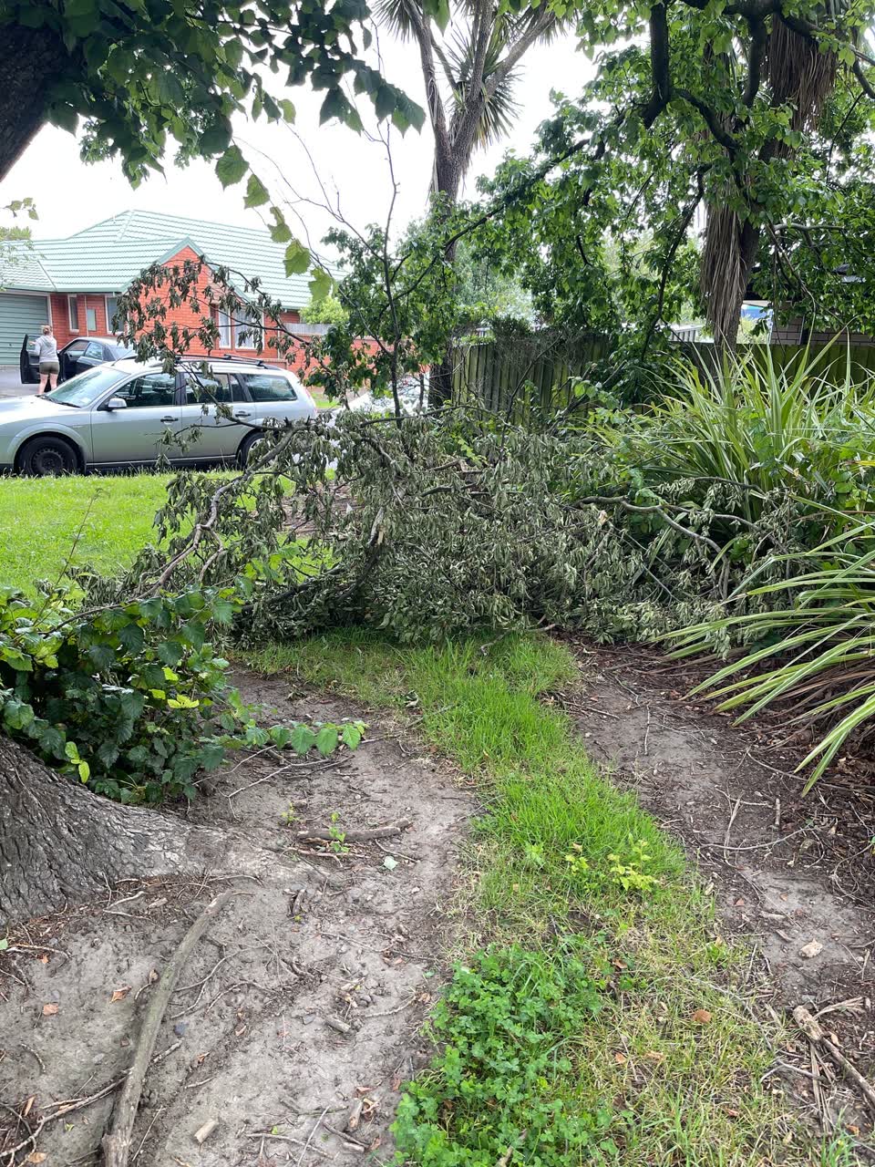 The photograph attached to this parks report