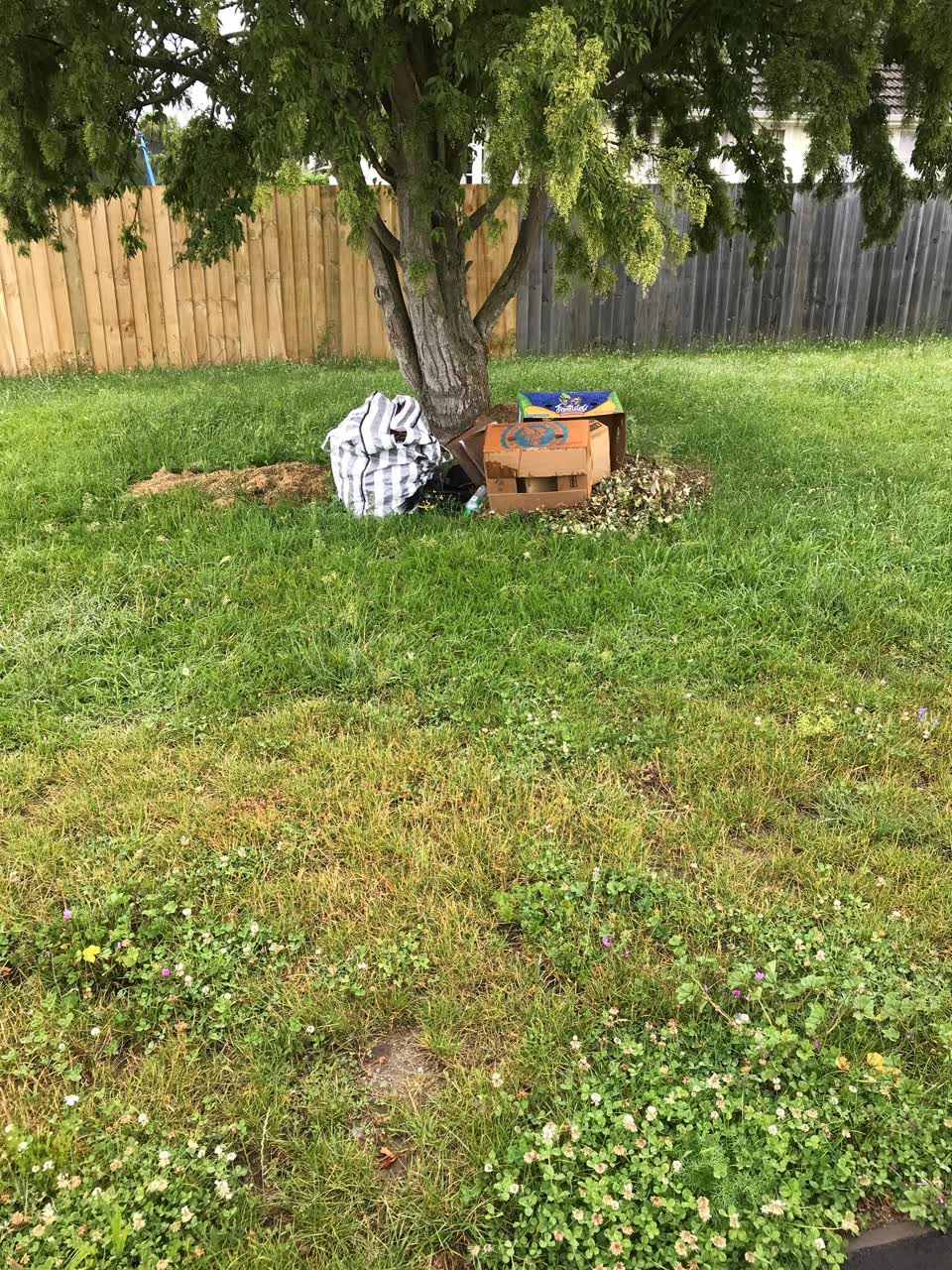 The photograph attached to this rubbish/recycling report
