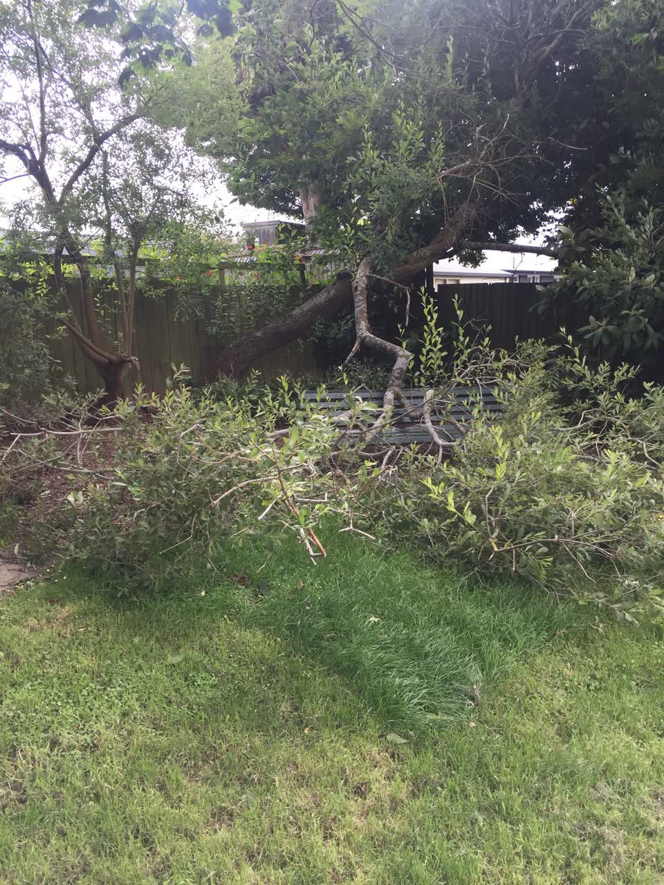 The photograph attached to this parks report