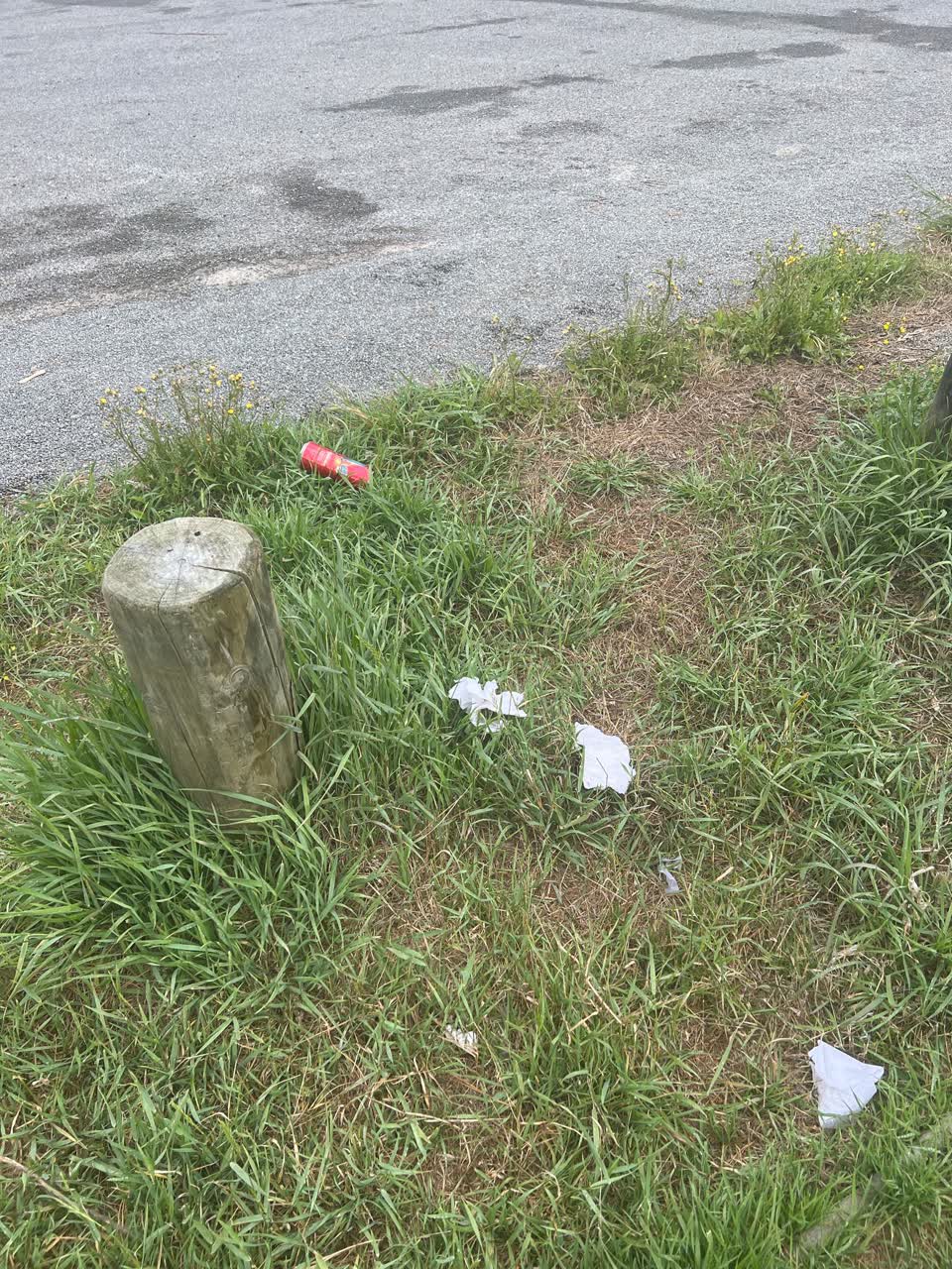The photograph attached to this rubbish/recycling report