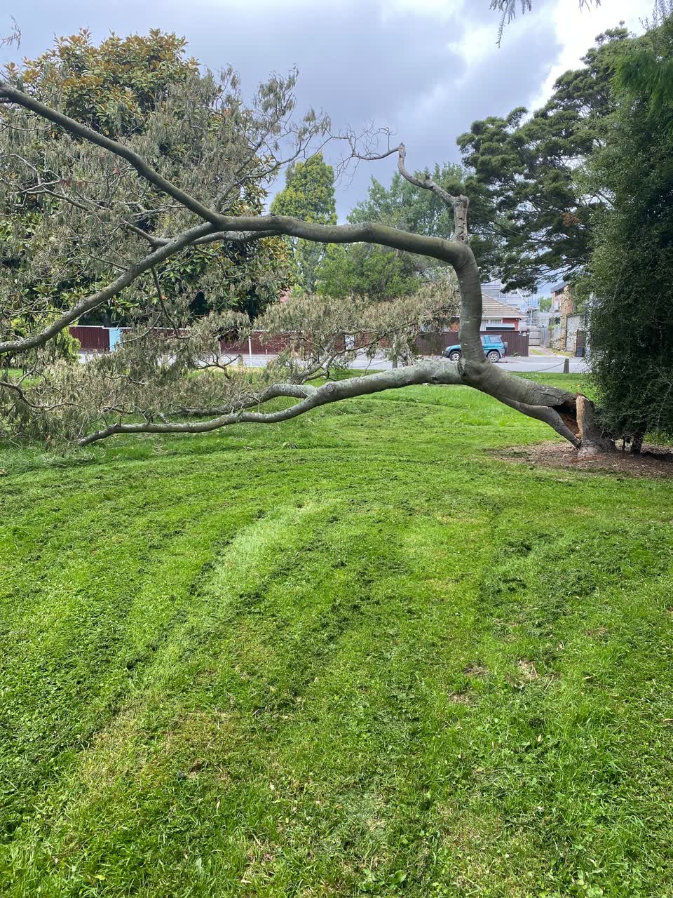 The photograph attached to this parks report