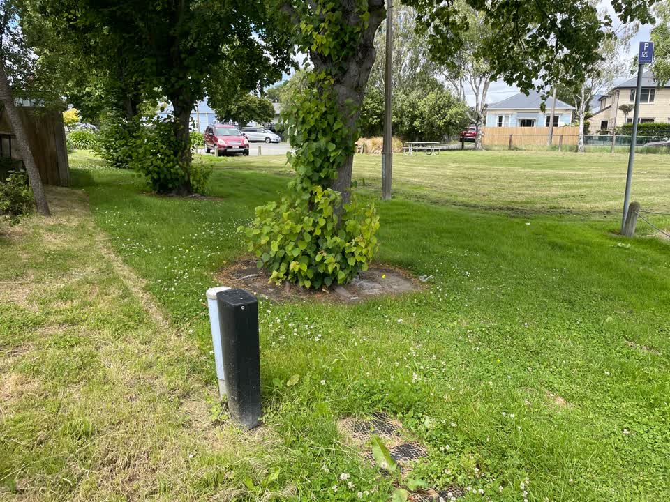 The photograph attached to this parks report