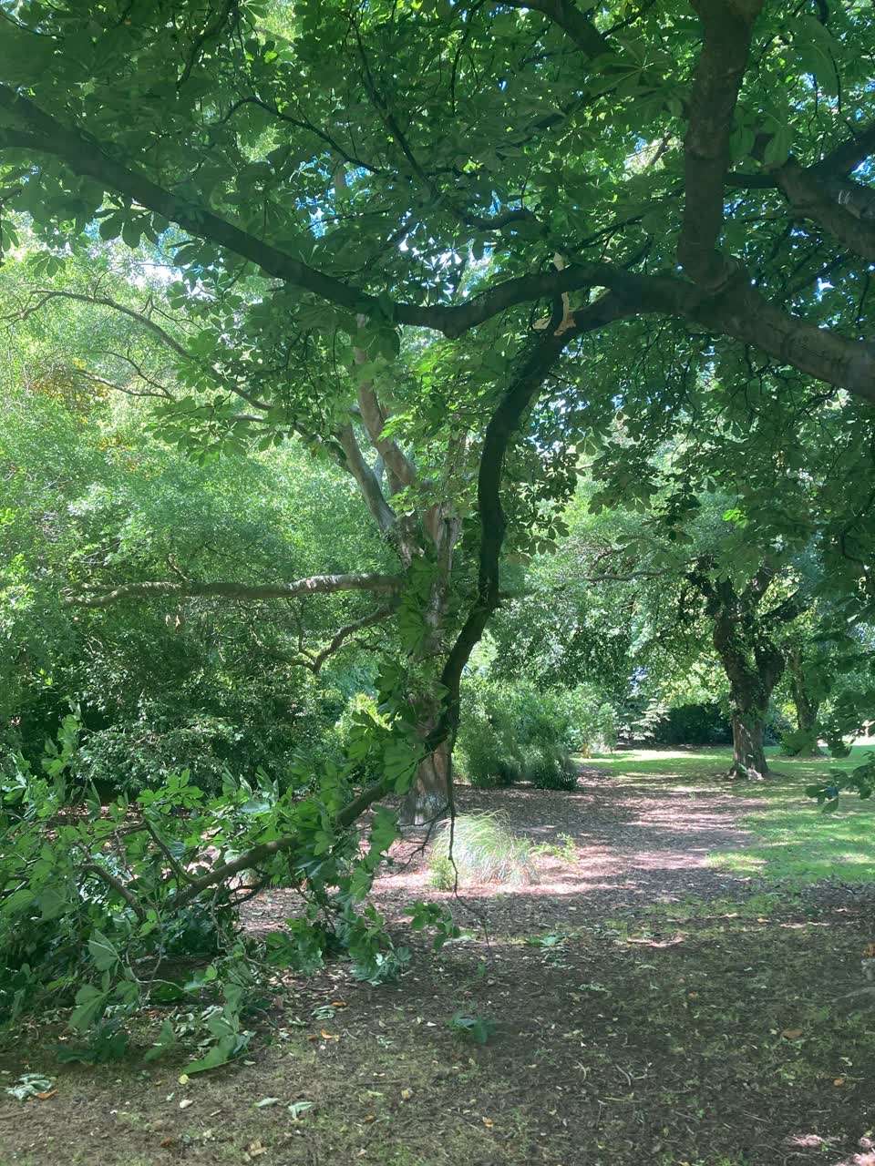 The photograph attached to this parks report
