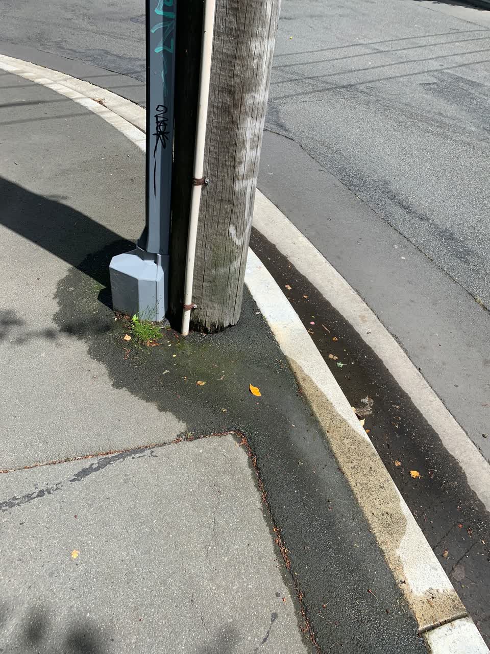 The photograph attached to this roading/streets report