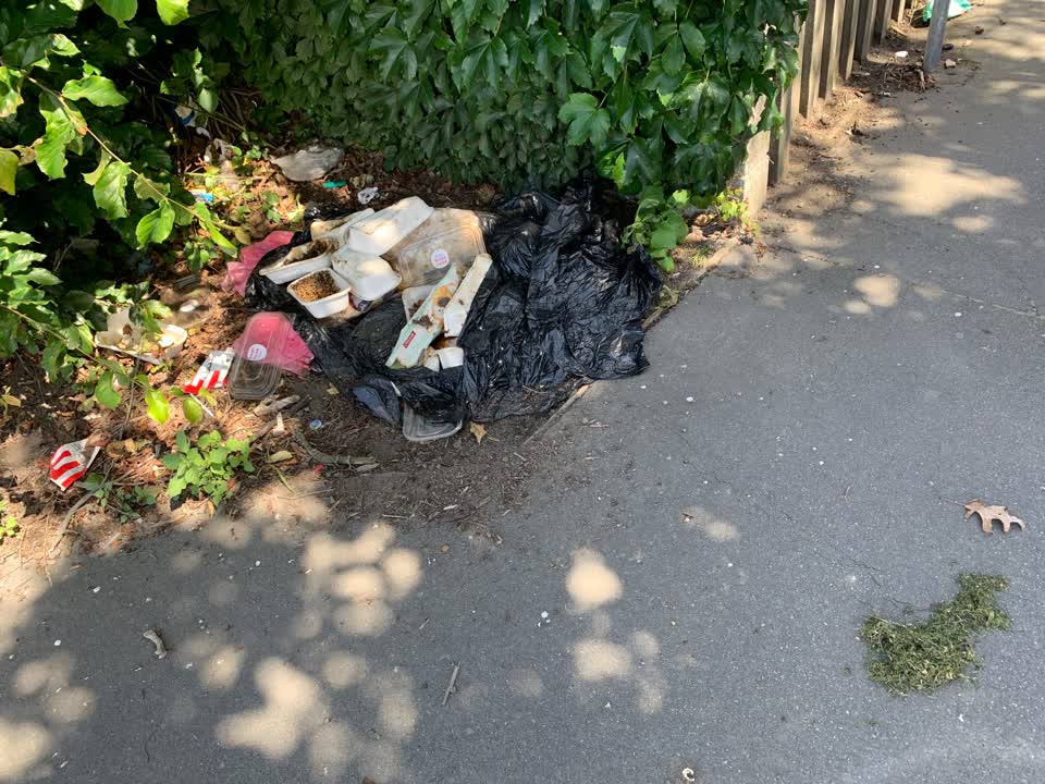 The photograph attached to this rubbish/recycling report