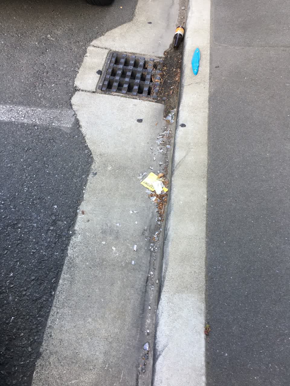 The photograph attached to this roading/streets report