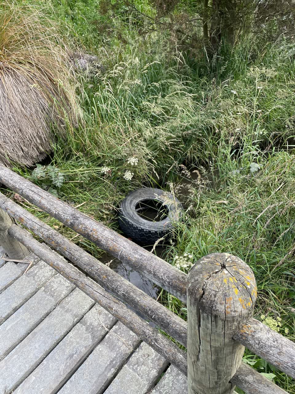 The photograph attached to this parks report