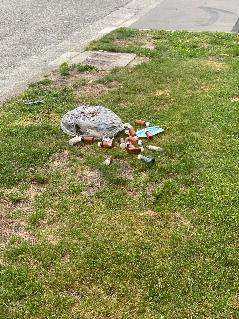 The photograph attached to this rubbish/recycling report