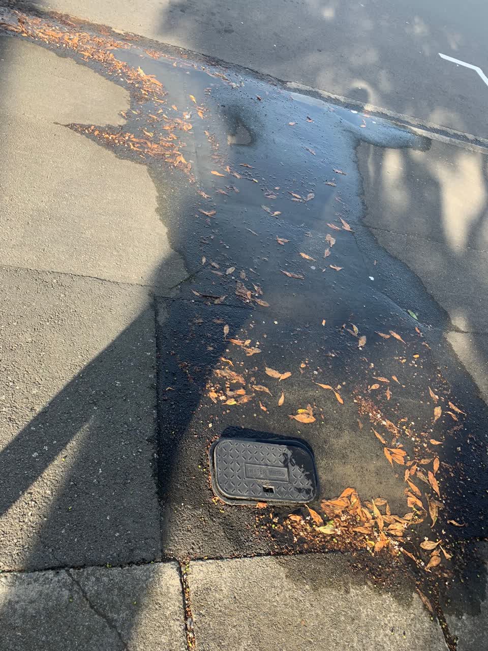 The photograph attached to this water leak report
