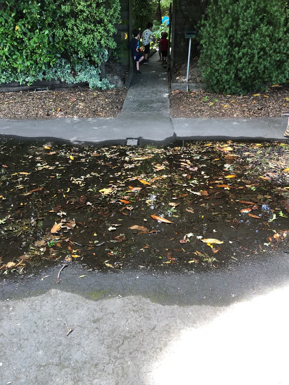 The photograph attached to this water leak report