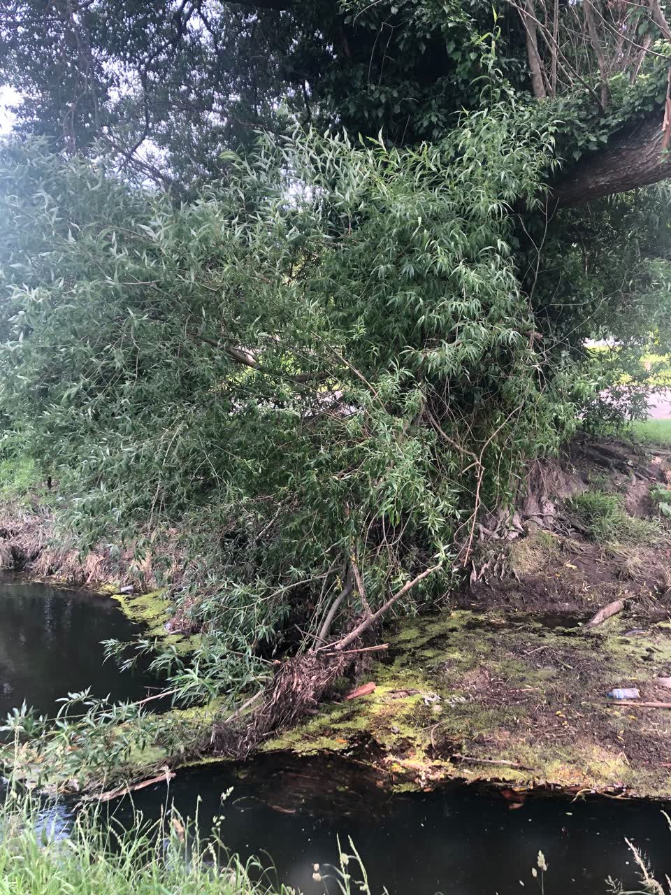 The photograph attached to this wastewater/stormwater report