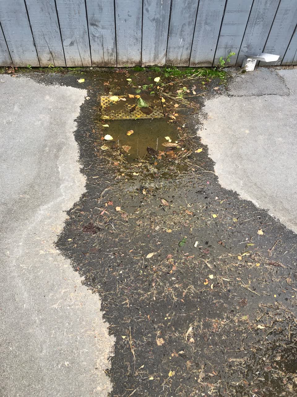 The photograph attached to this water leak report