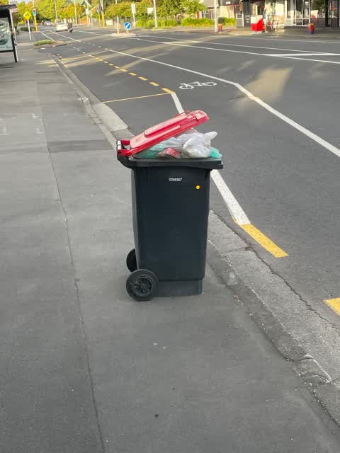 Rubbish/Recycling, a report photo