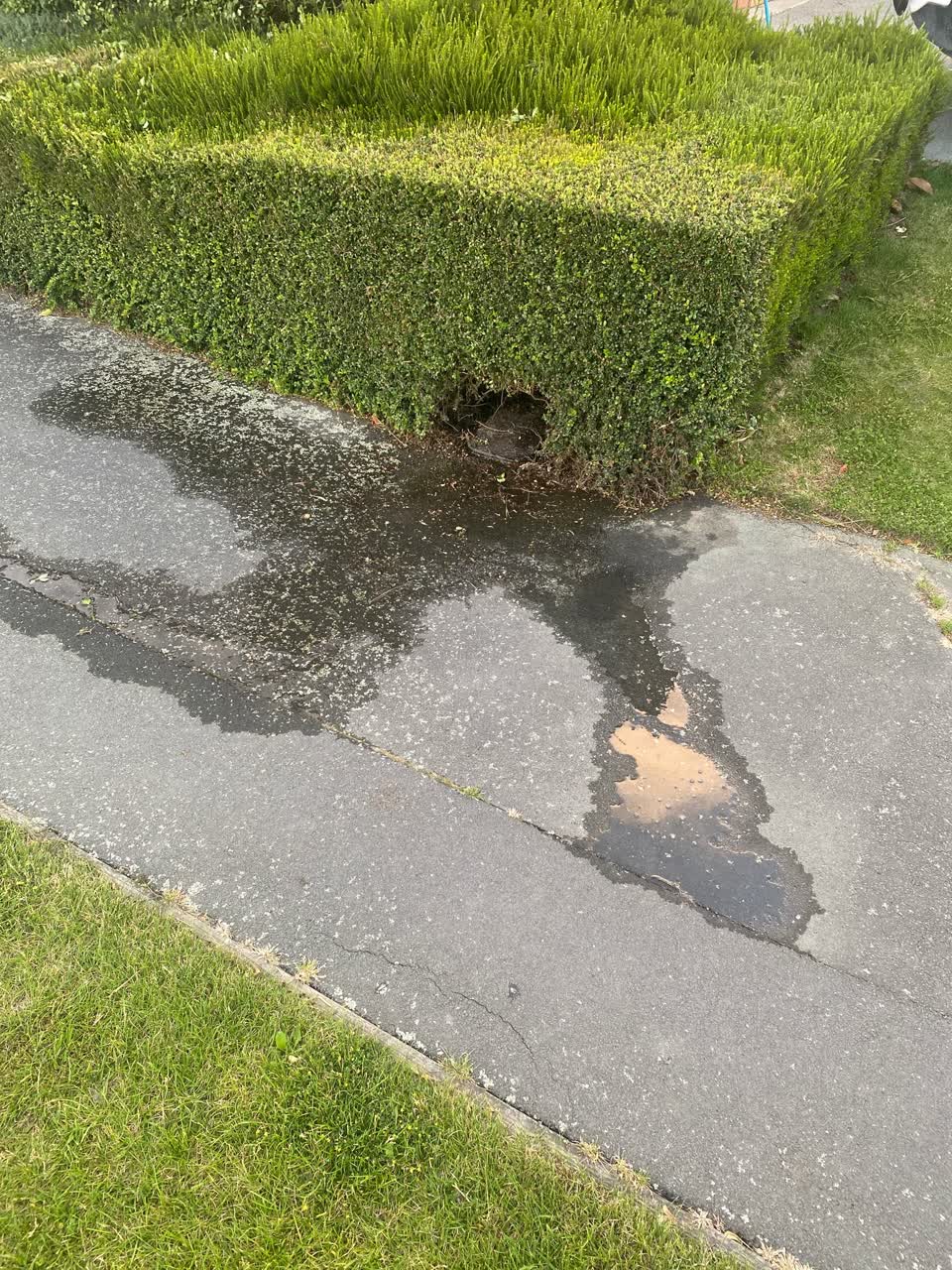 The photograph attached to this water leak report