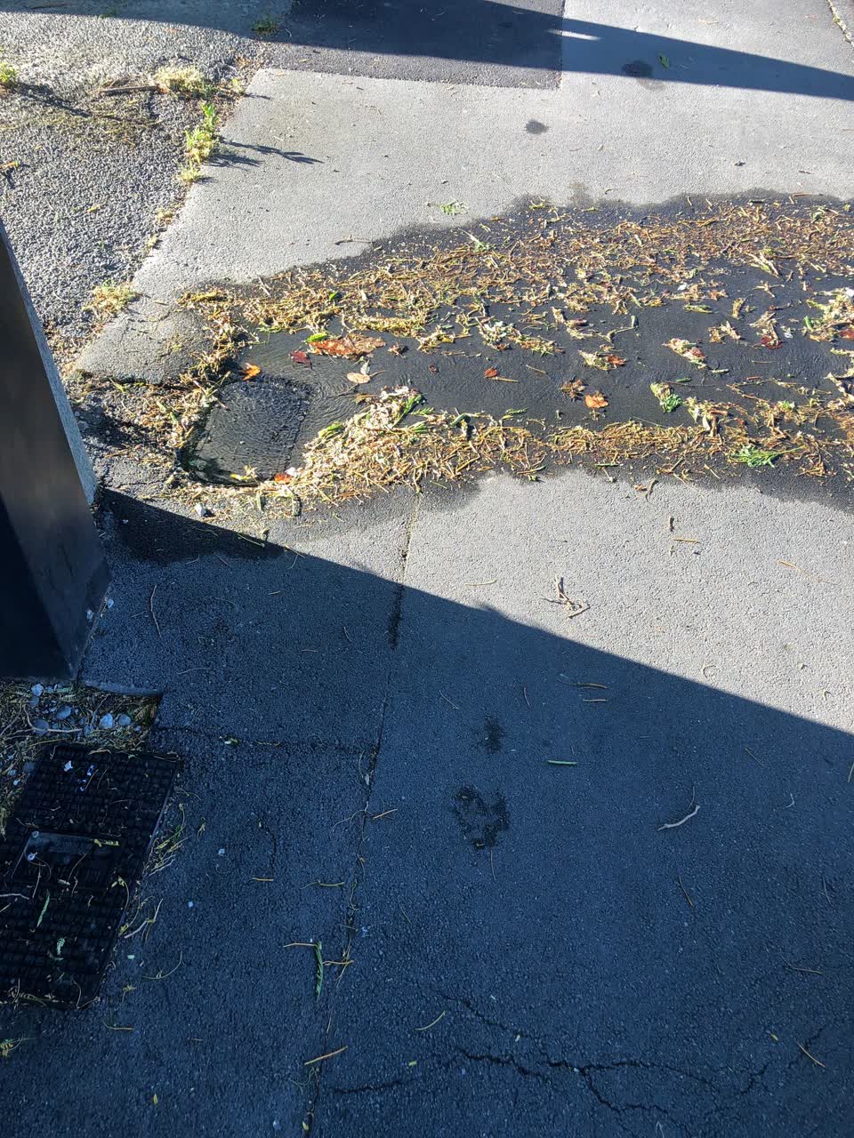 The photograph attached to this water leak report