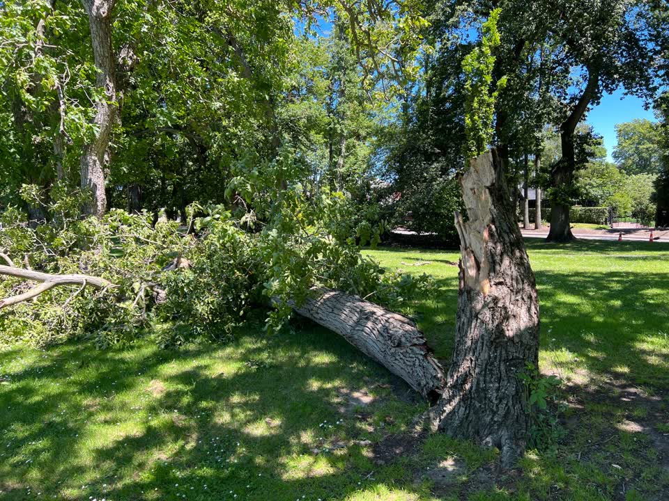 The photograph attached to this parks report