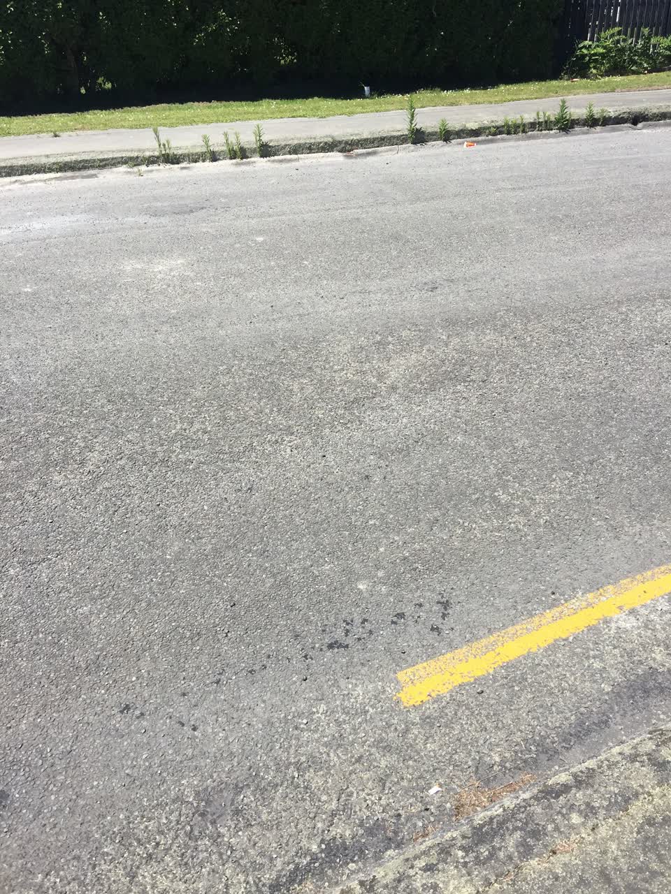 The photograph attached to this roading/streets report