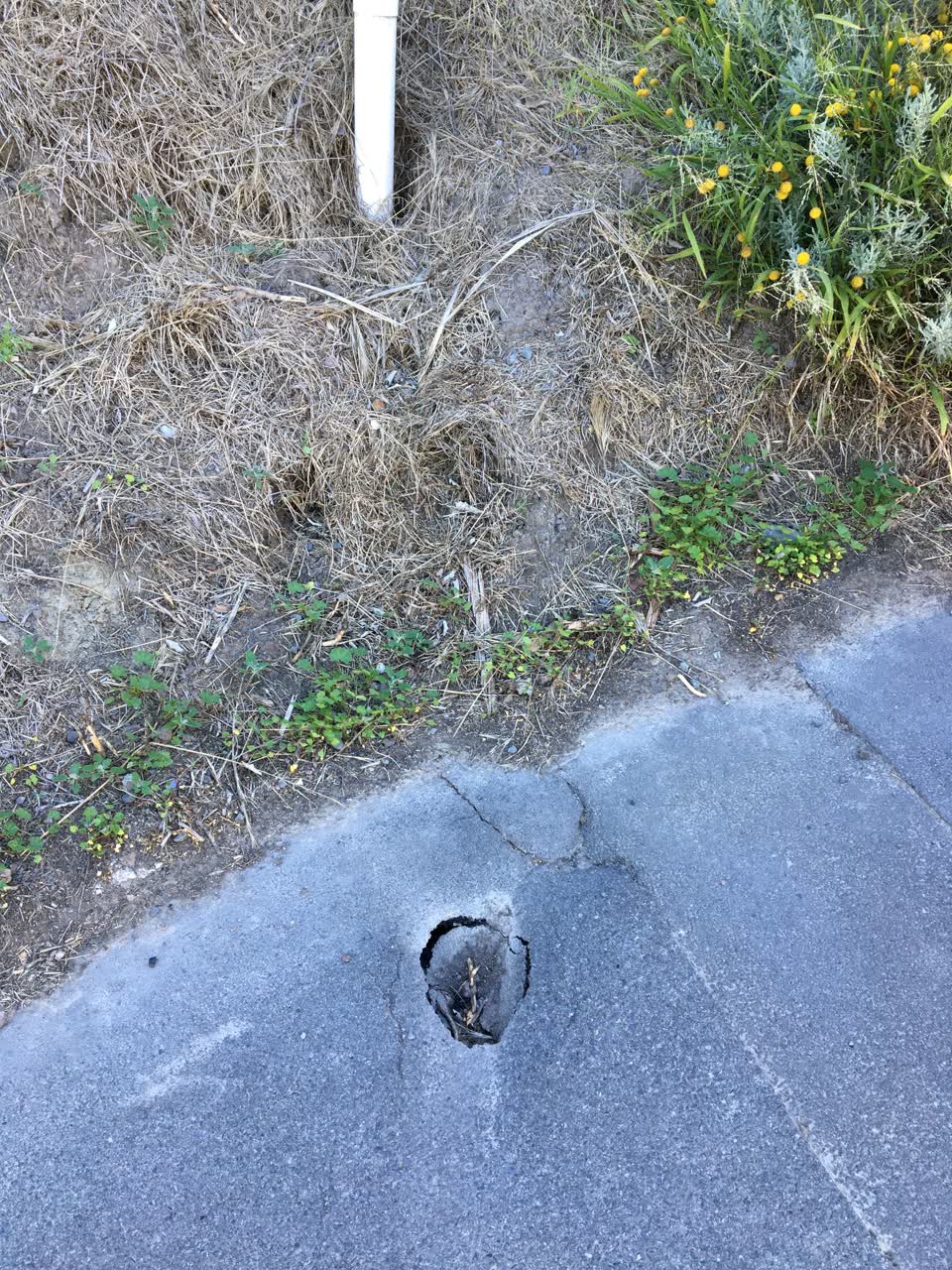 The photograph attached to this roading/streets report