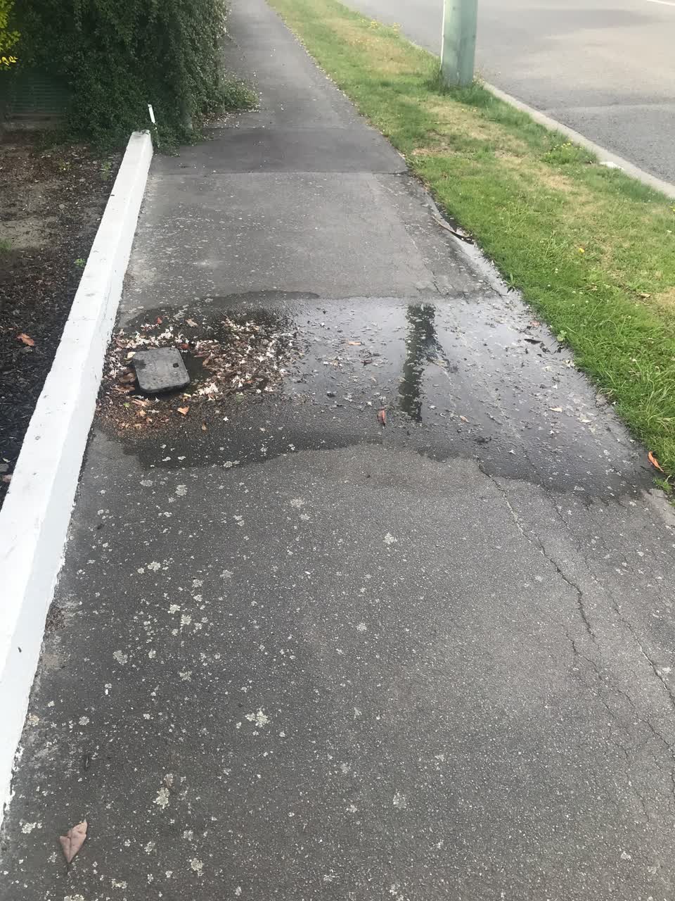 The photograph attached to this water leak report