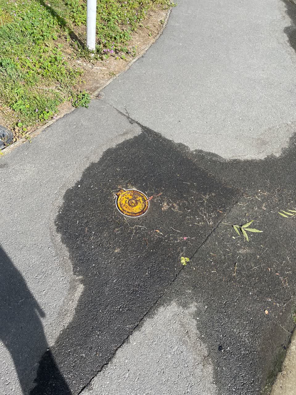 The photograph attached to this water leak report