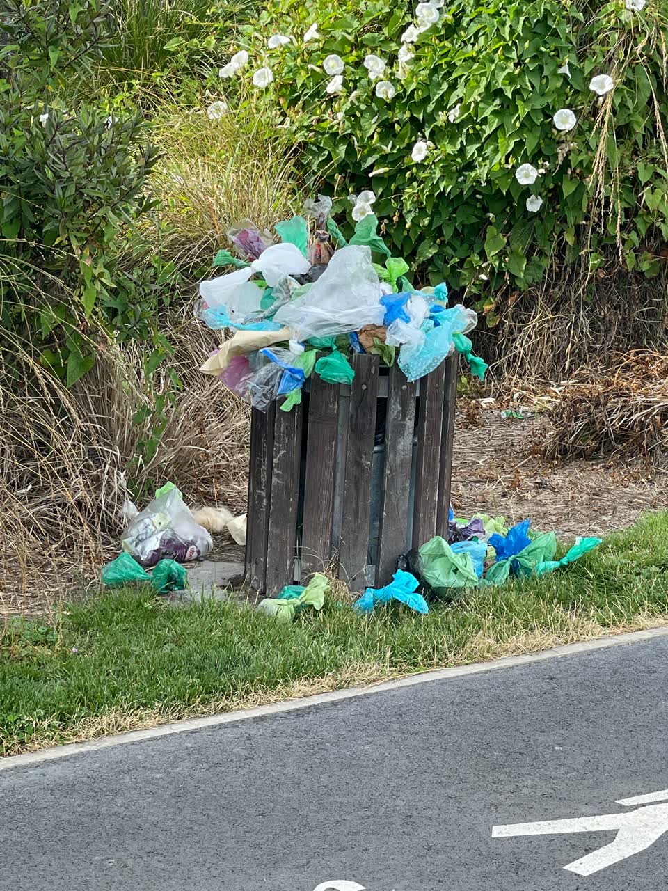 The photograph attached to this parks report