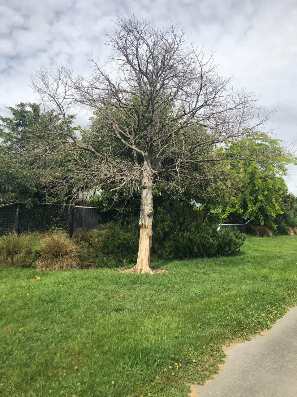 The photograph attached to this parks report