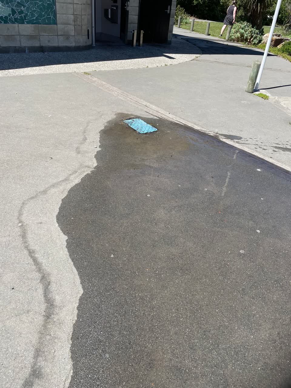 The photograph attached to this parks report