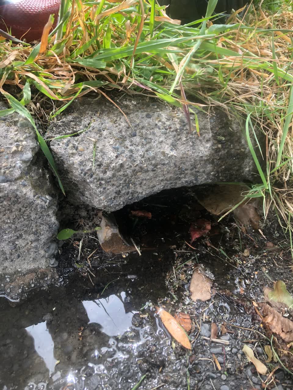 The photograph attached to this wastewater/stormwater report