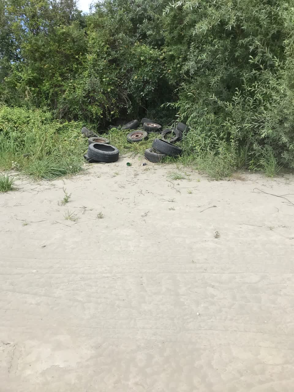 The photograph attached to this parks report