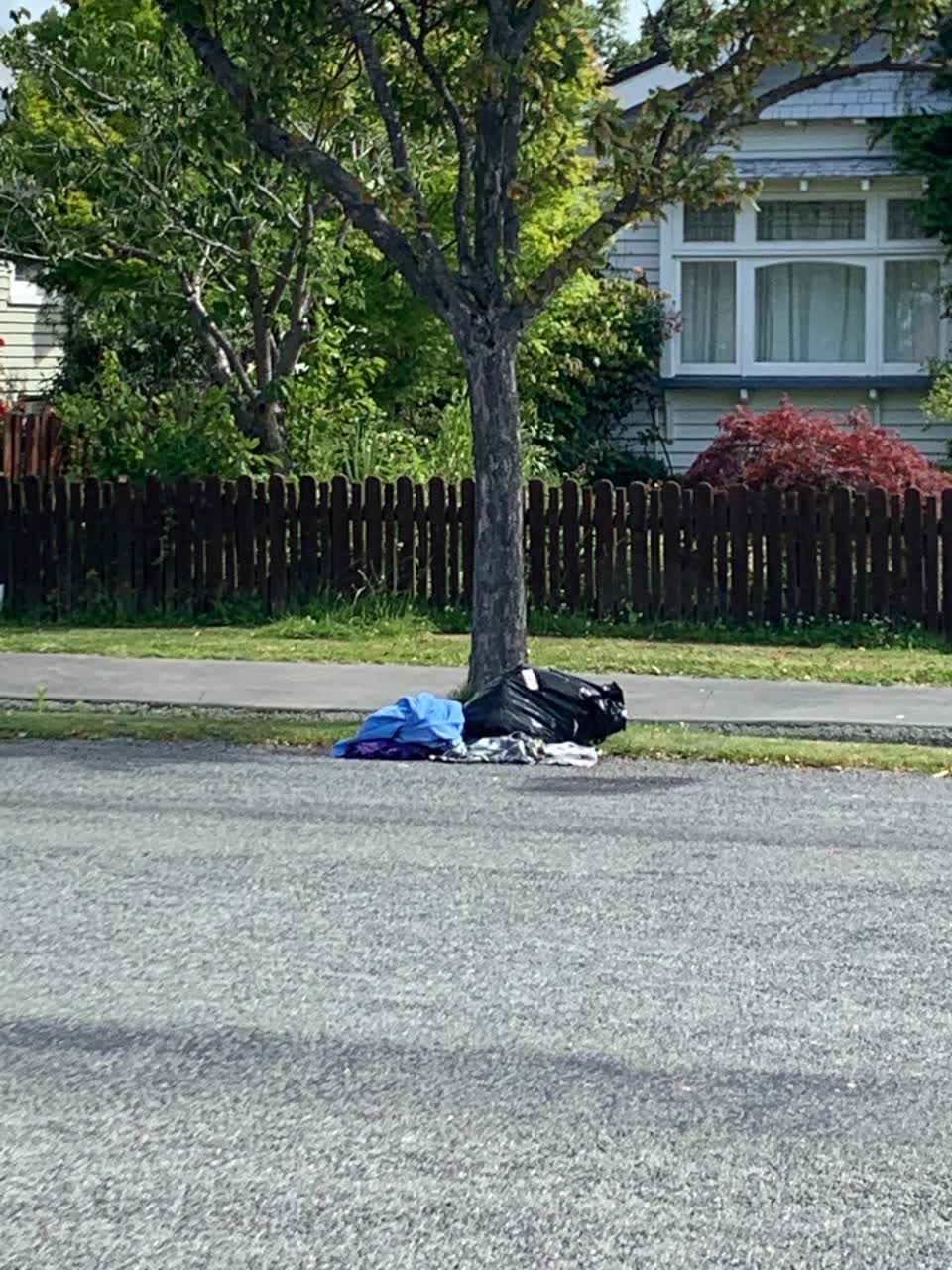 The photograph attached to this rubbish/recycling report