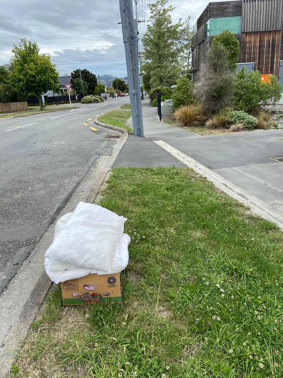 The photograph attached to this rubbish/recycling report