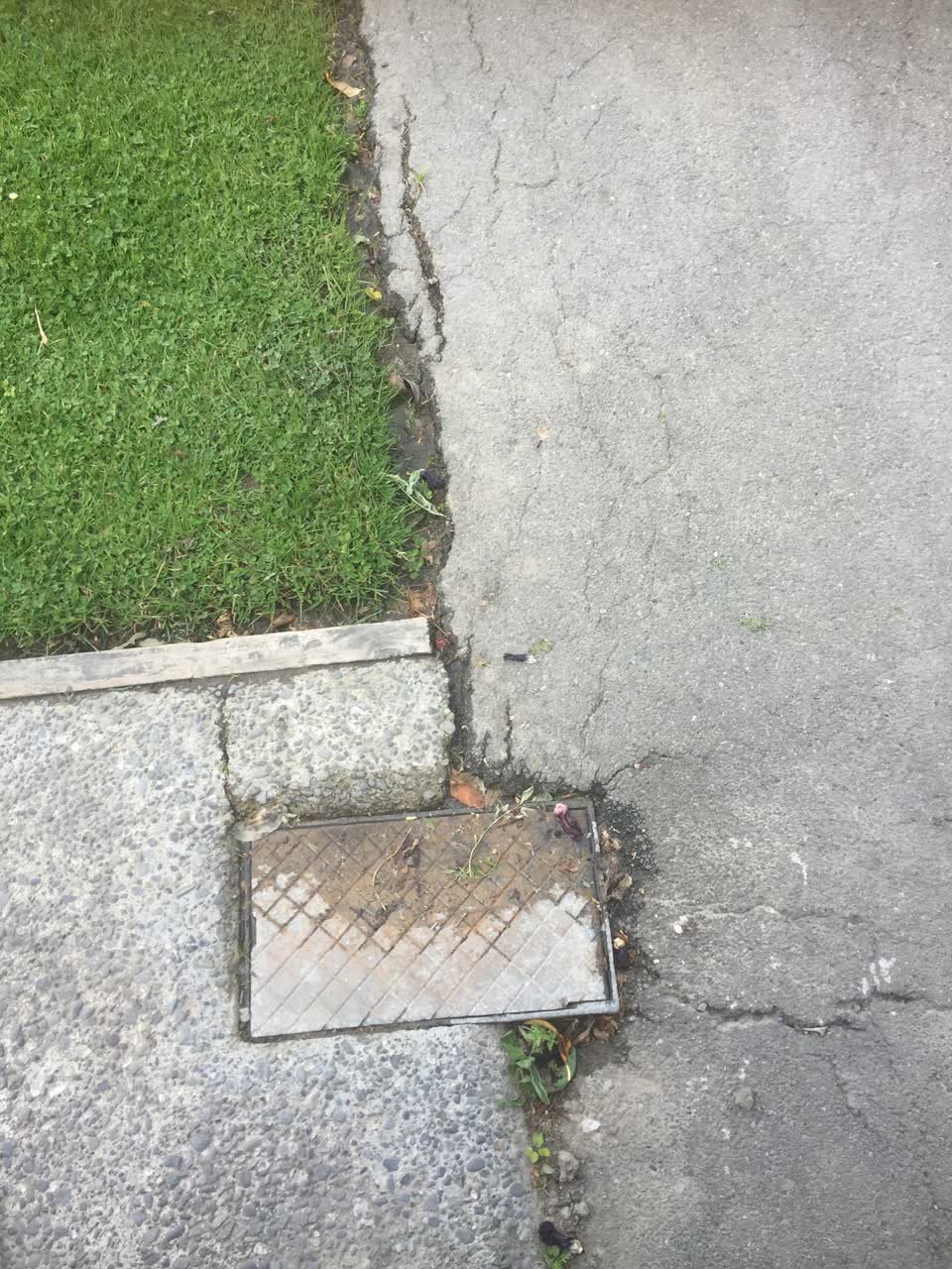 The photograph attached to this water leak report