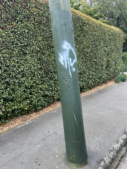 Graffiti, a report photo