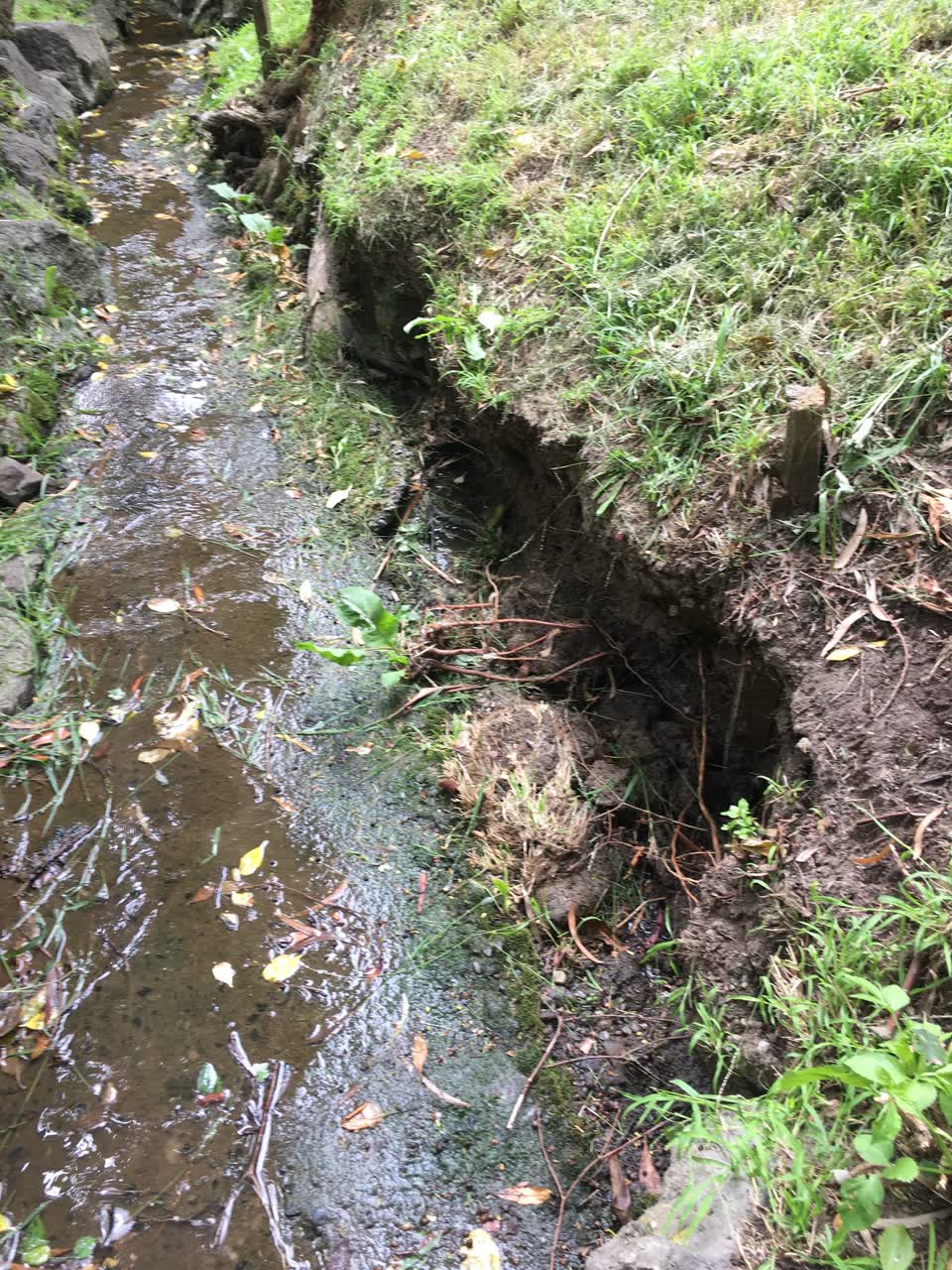 The photograph attached to this parks report