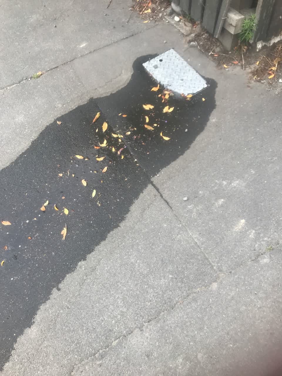 The photograph attached to this water leak report