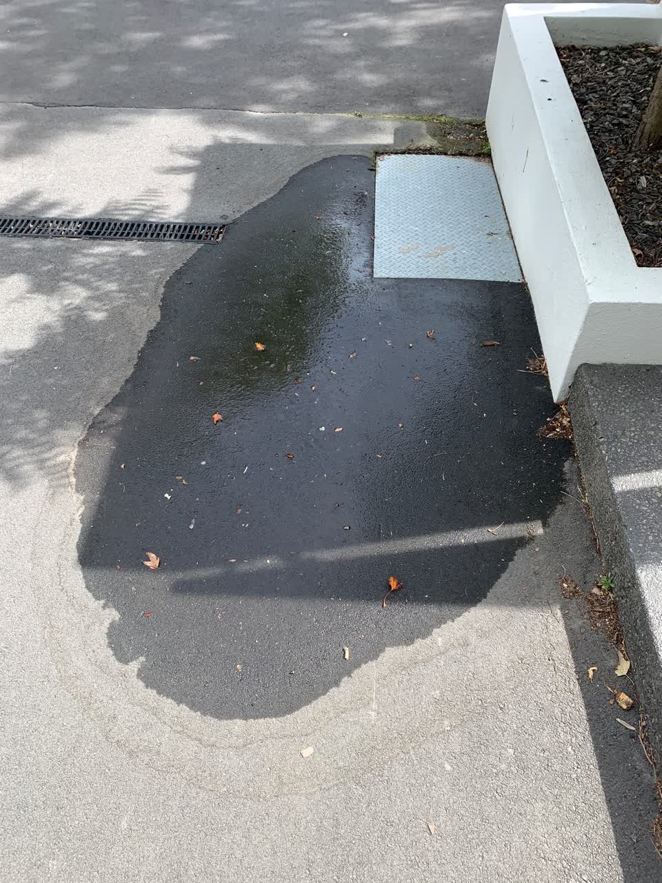 The photograph attached to this water leak report