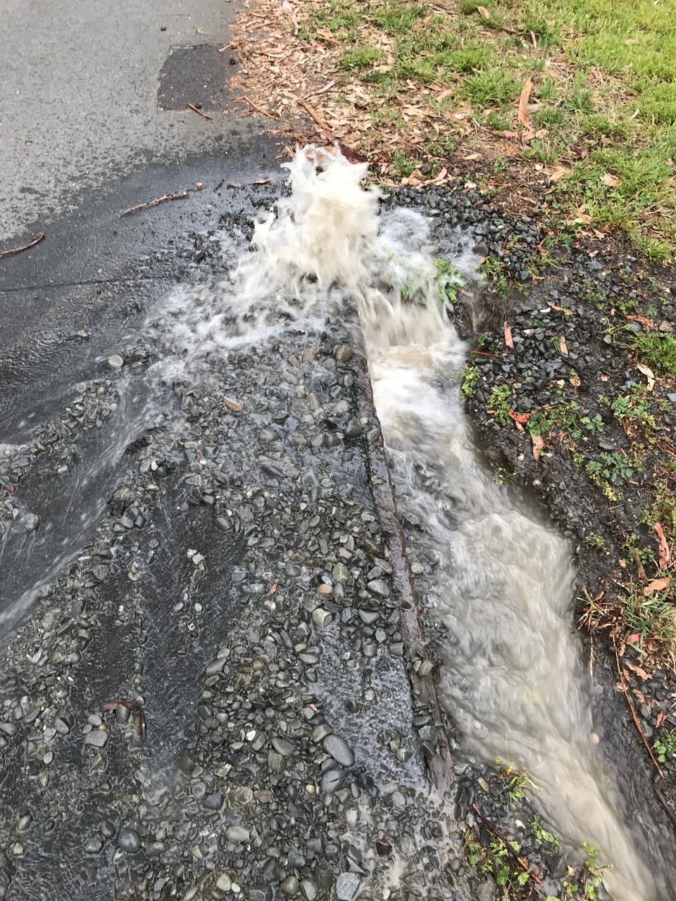The photograph attached to this sewer - leak / blockage report