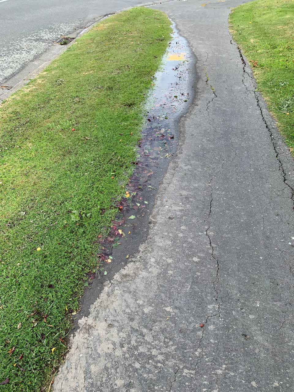The photograph attached to this water leak report