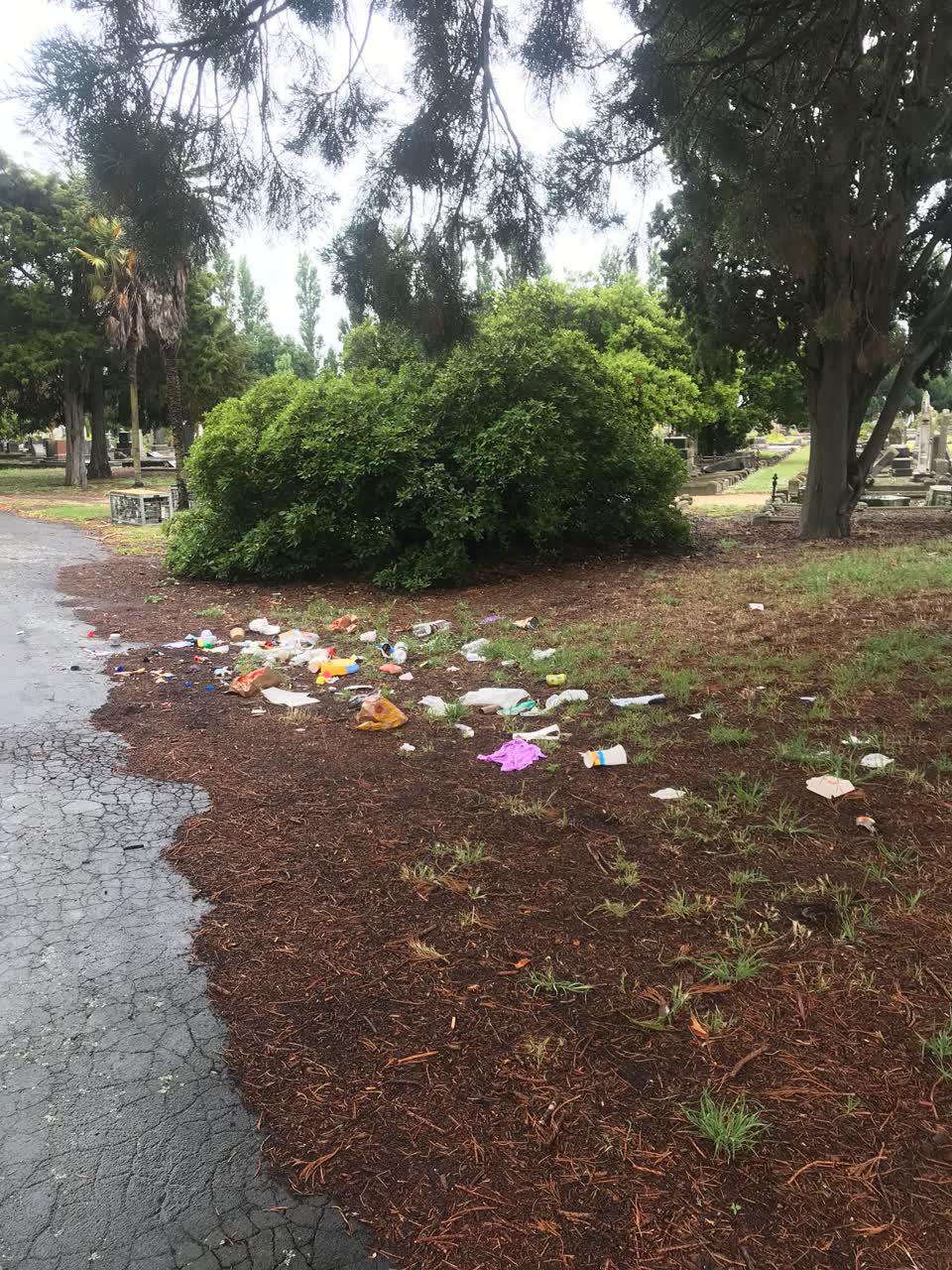 The photograph attached to this rubbish/recycling report