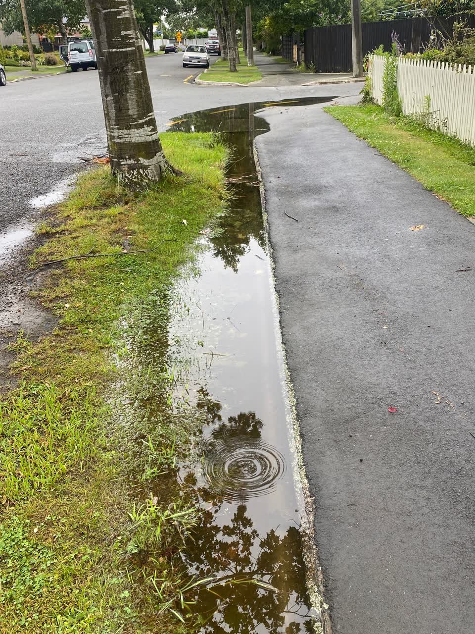 The photograph attached to this wastewater/stormwater report