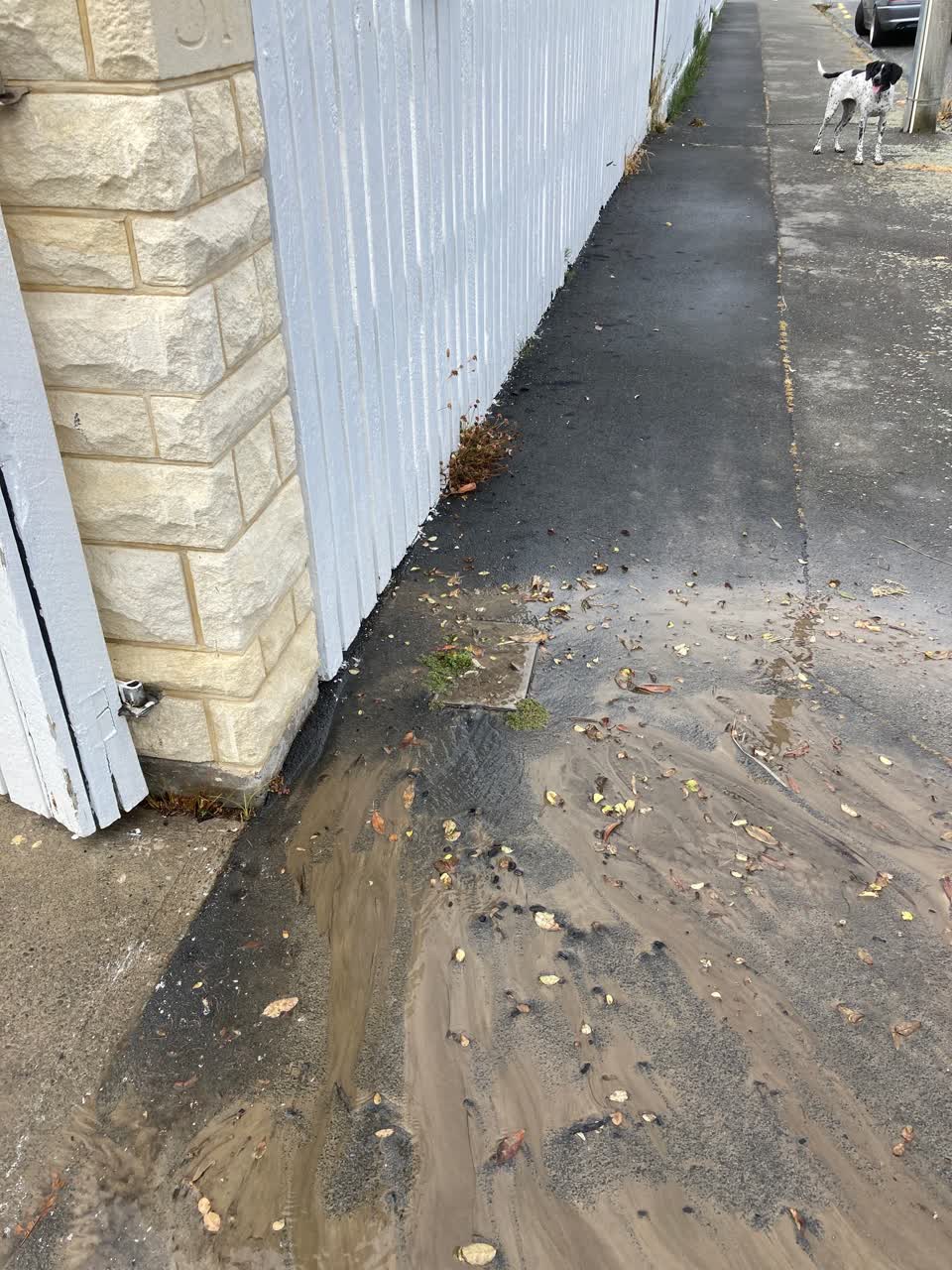 The photograph attached to this water leak report