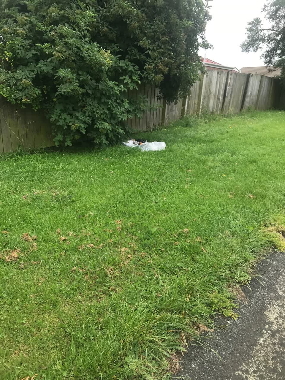 The photograph attached to this rubbish/recycling report