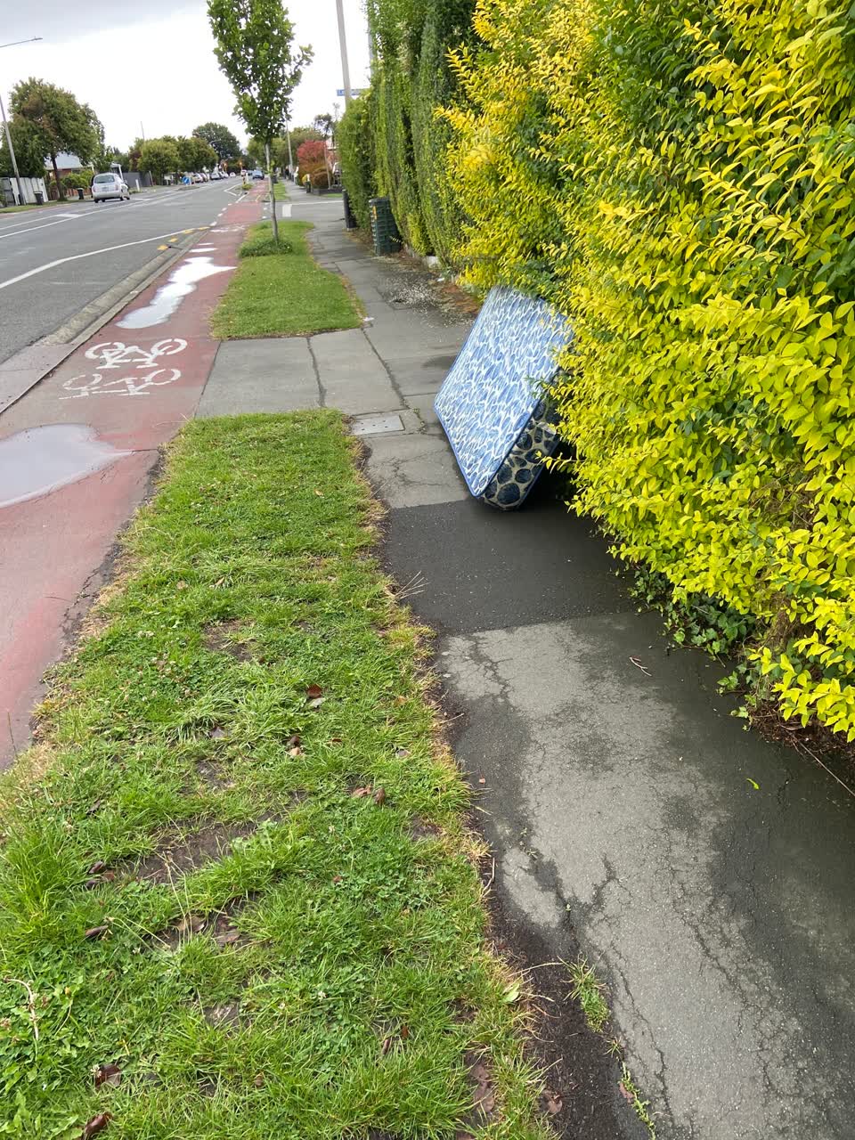 The photograph attached to this rubbish/recycling report
