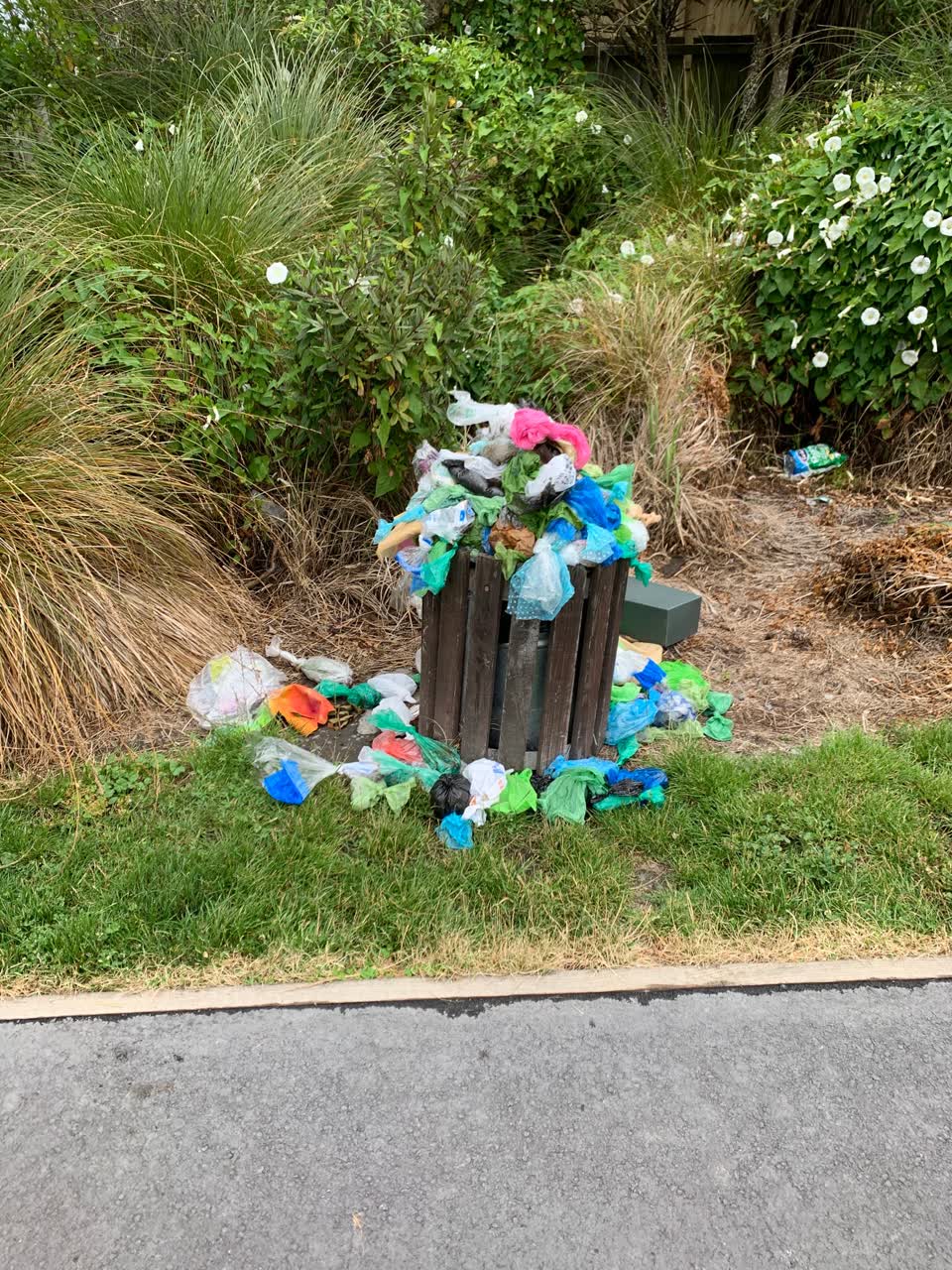 The photograph attached to this rubbish/recycling report