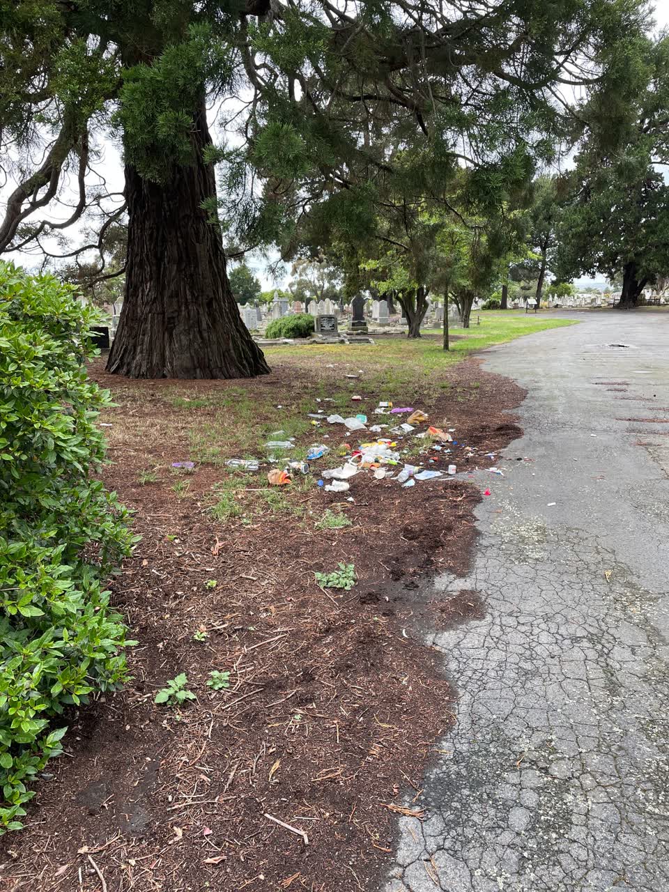 The photograph attached to this parks report