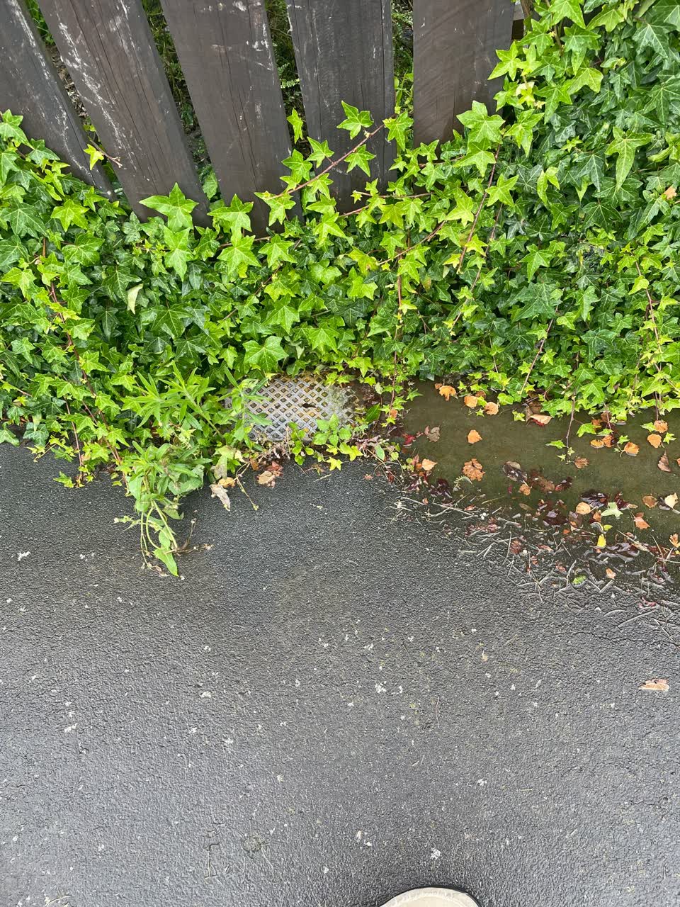 The photograph attached to this water leak report
