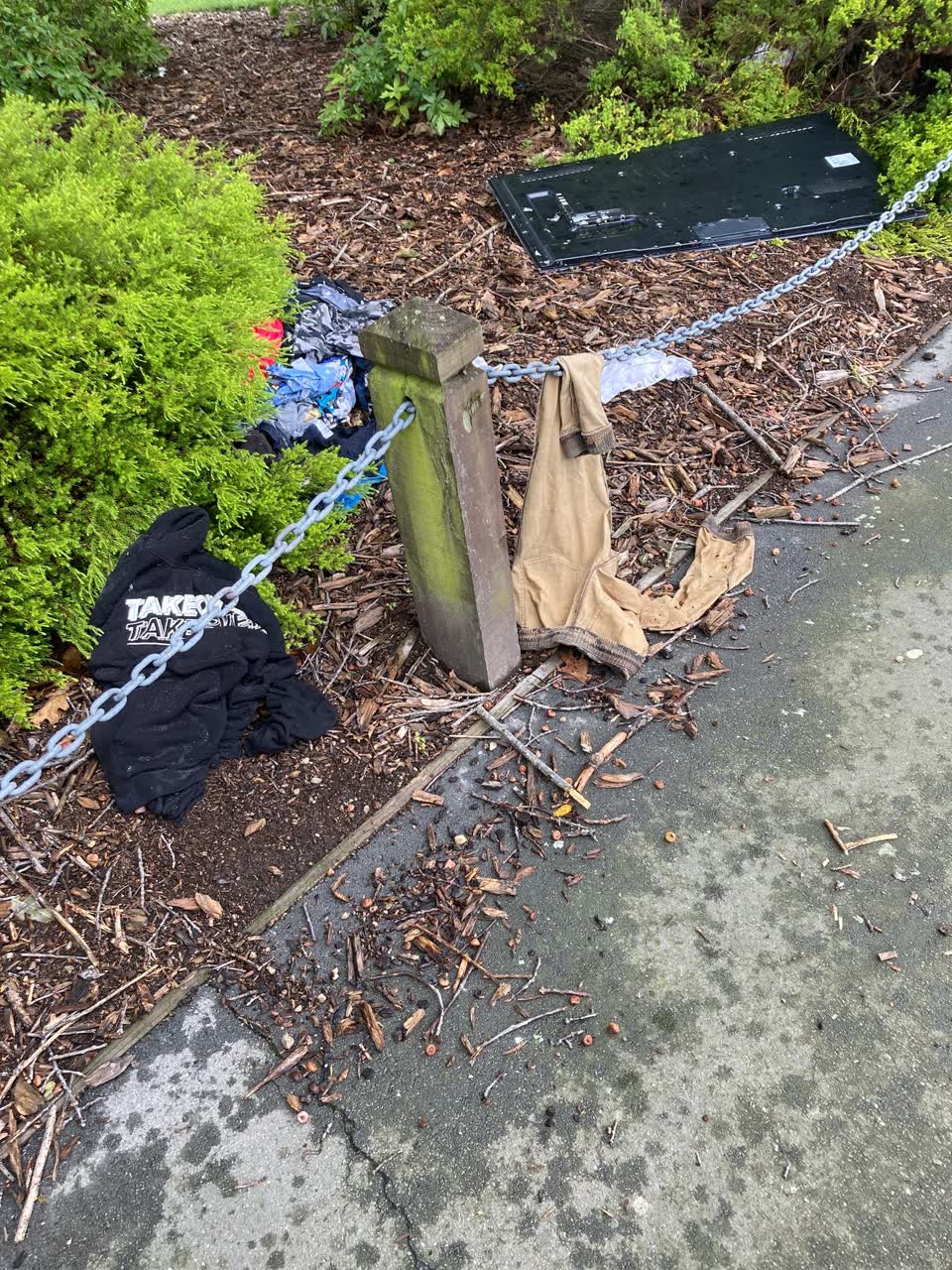 The photograph attached to this parks report