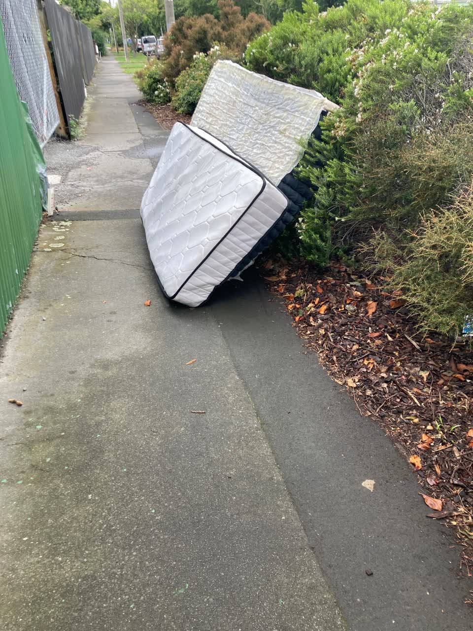 The photograph attached to this rubbish/recycling report