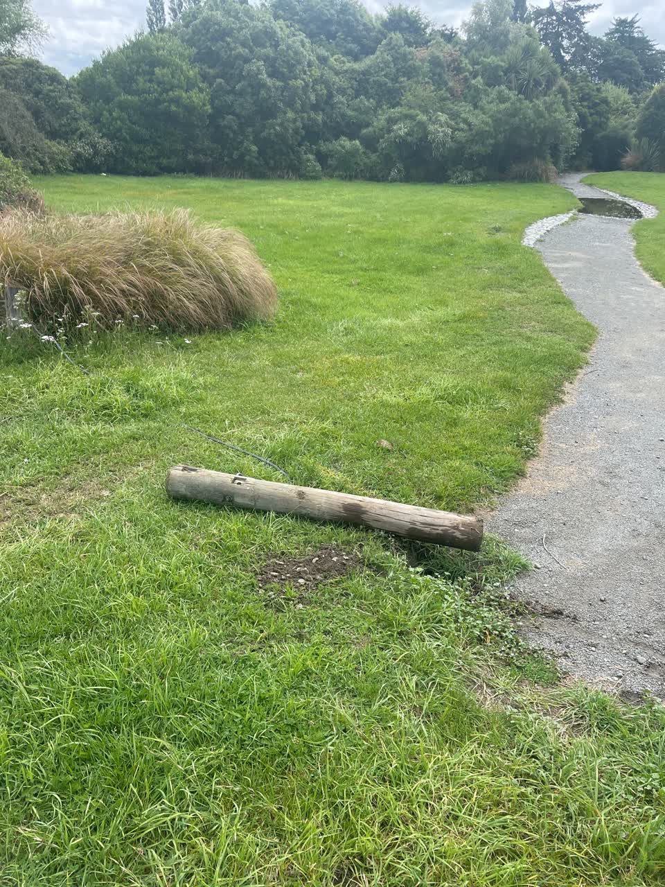 The photograph attached to this parks report